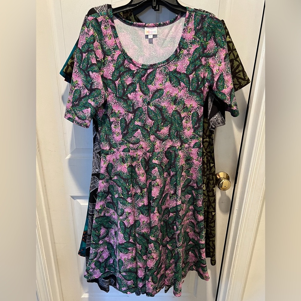 Lularoe Nicole dress Large